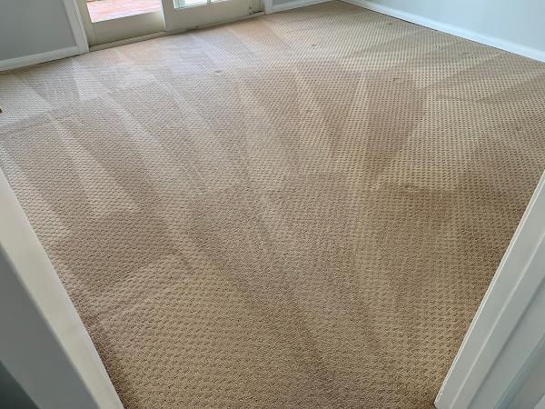 Peter's Carpet Cleaning