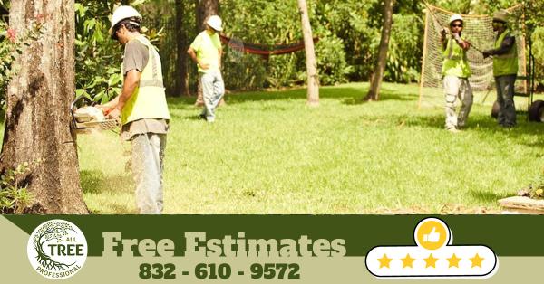 All Tree Professional