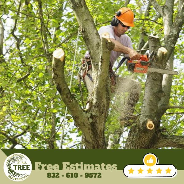 All Tree Professional