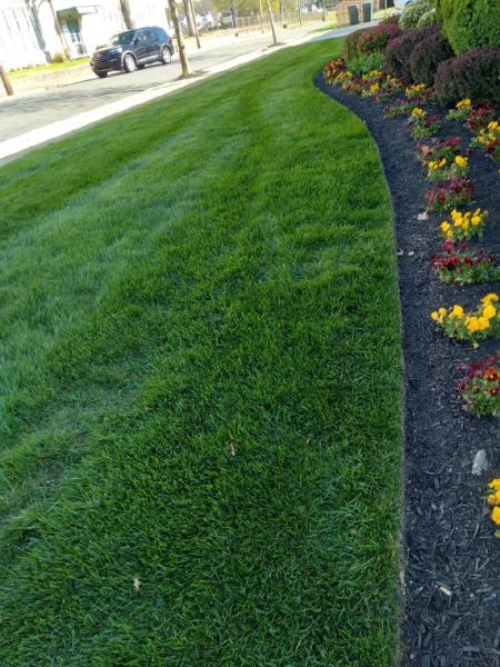 E&M Lawn Care LLC