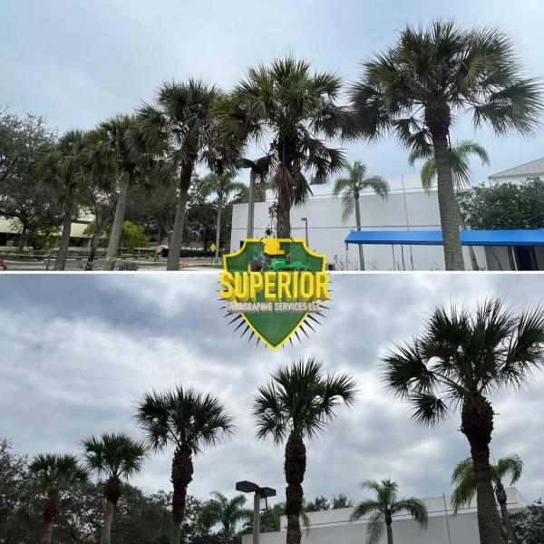 Superior Landscaping Services
