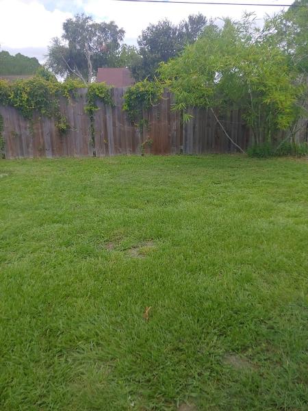 Perfect Cuts Lawn Service