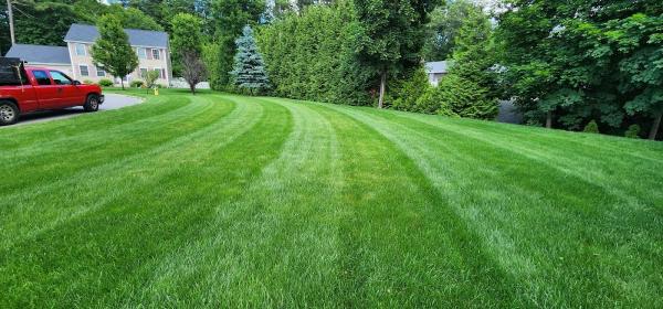 Property Mend LLC