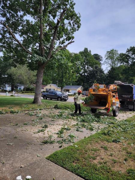 A Affordable Tree Service