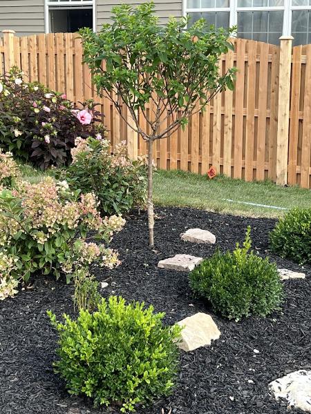 J&P Brothers Landscaping