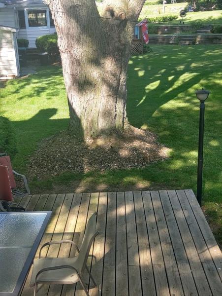 Outdoor Oasis Landscaping