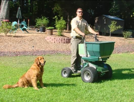 American Tree Maintenance