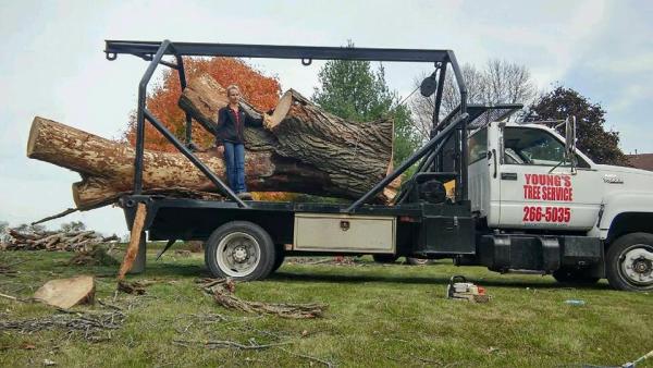 Young's Tree Service