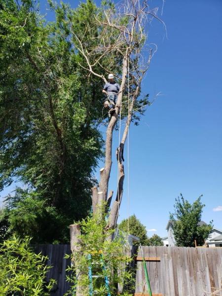 Treasure Valley Tree Company