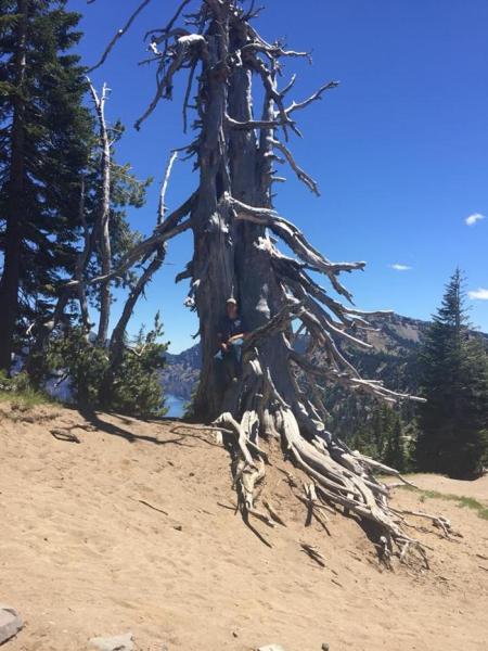 Treasure Valley Tree Company
