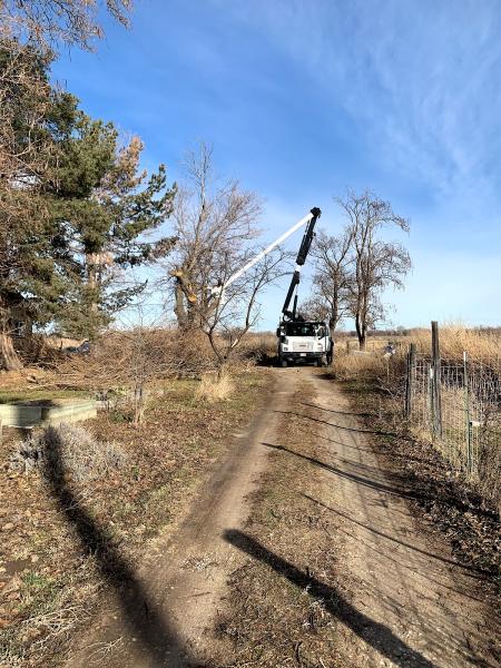 Treasure Valley Tree Company