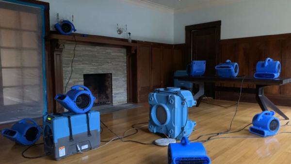All Action Water Damage