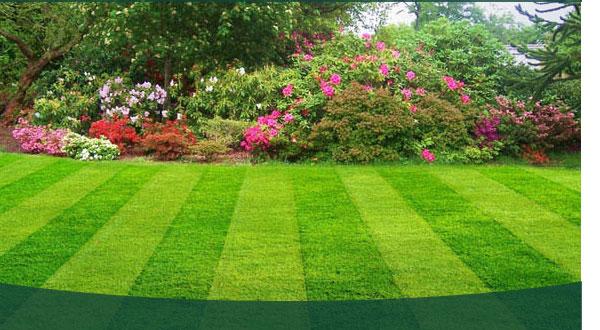 Grogreen Lawn Specialties