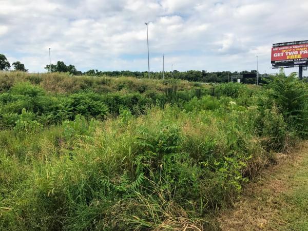 Bush Hogging Middle Tennessee-Tractor Services Co.
