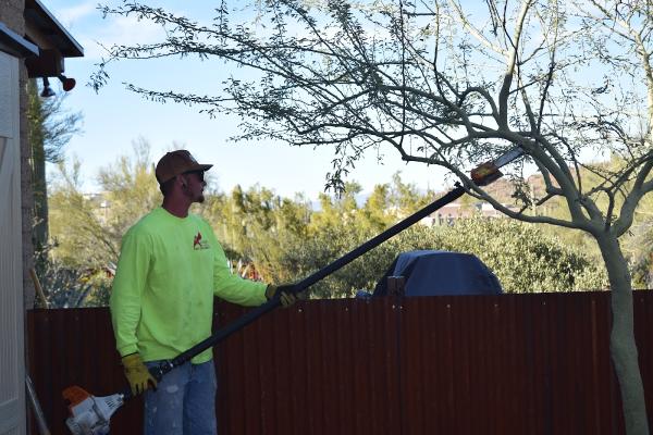 Action Yard and Tree Service