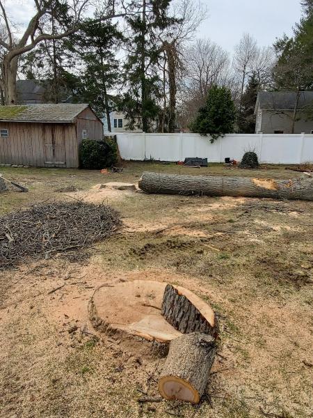 Long Island Lumber Jack