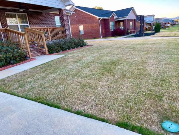 Alphascape Lawn & Landscape