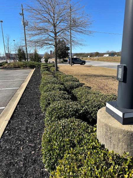 Alphascape Lawn & Landscape
