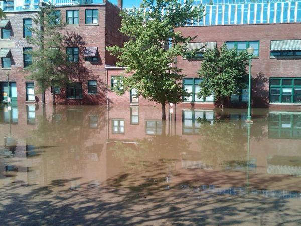 Flood Pro