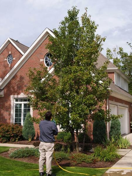 Seasonal Lawncare