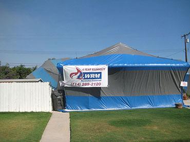 WRM Termite Control
