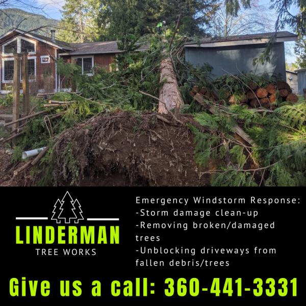 Linderman Tree Works