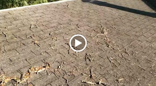 Clearwater Roofing