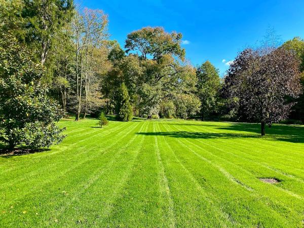 Sun Valley Landscaping