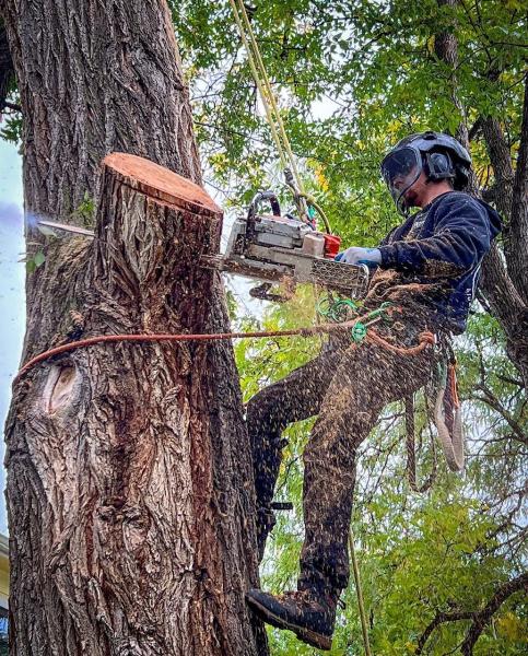 Blue River Forestry & Tree Care