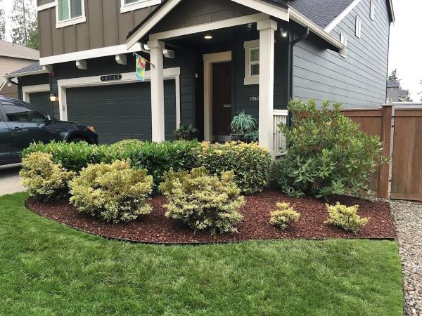 Amazing Landscape Services
