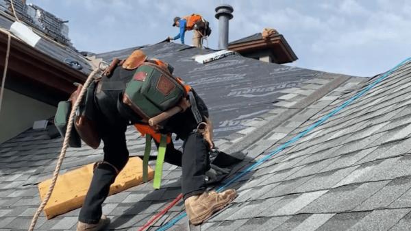 Proline Roofing