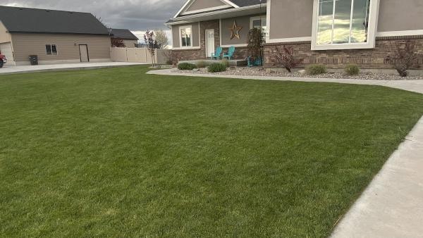 Turfco Lawn Care & Pest Control