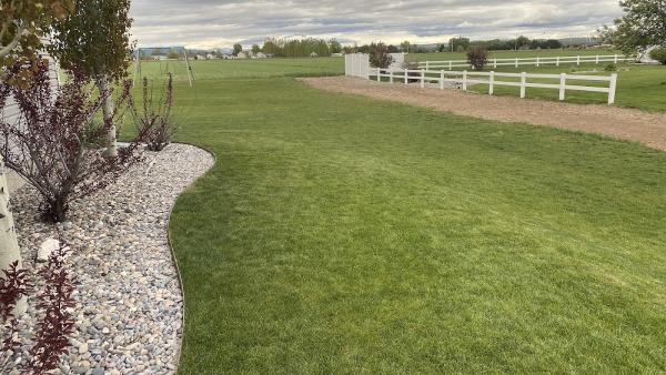 Turfco Lawn Care & Pest Control