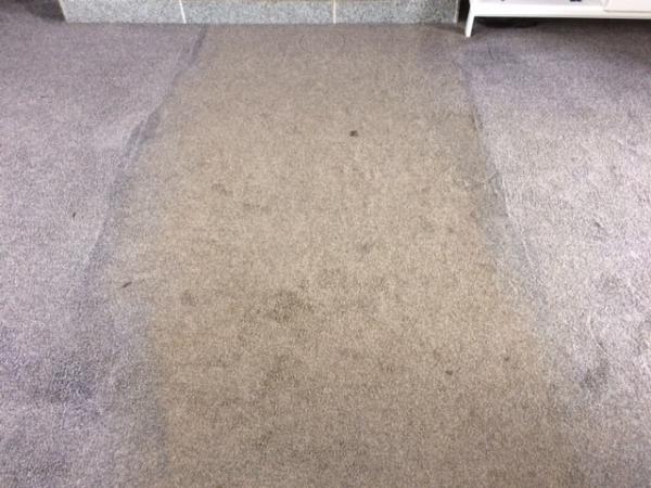 Penn Way Carpet Cleaning