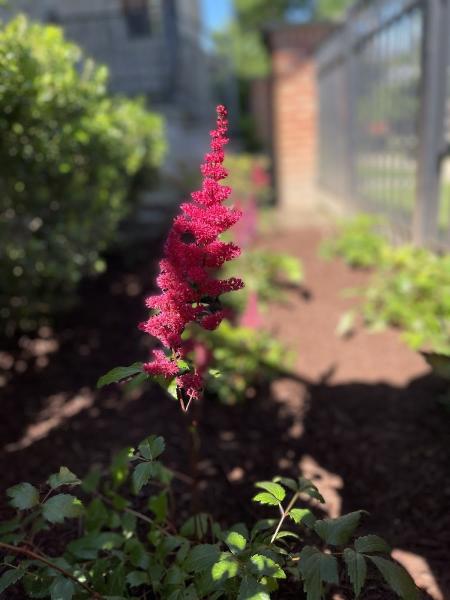 AE Quality Landscaping LLC