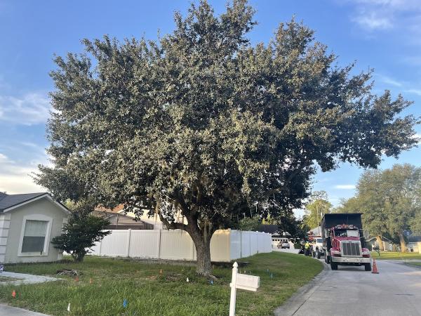 Briggs Tree Service
