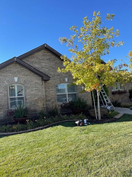 Ruiz Remodeling & Painting