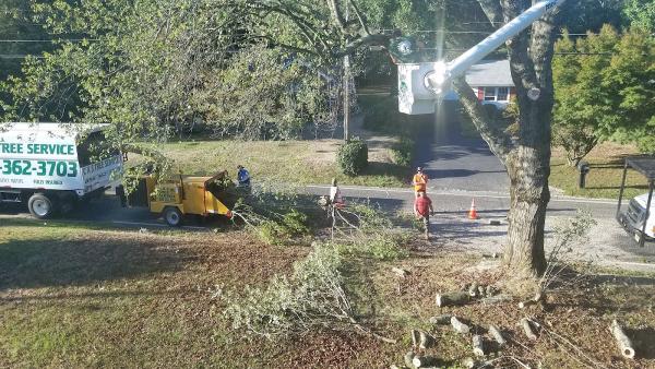 CAS Tree Service