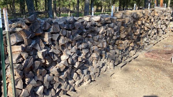 Benitez Tree and Shrub Service LLC