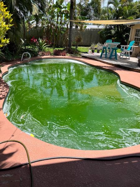 Willey Pools