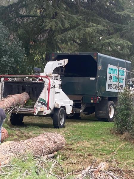 Lyons Tree Service Roseville