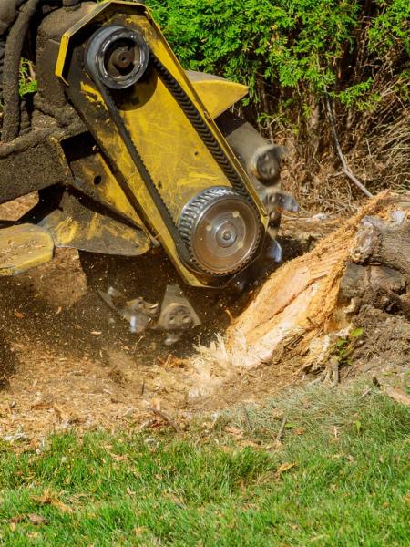Lyons Tree Service Roseville