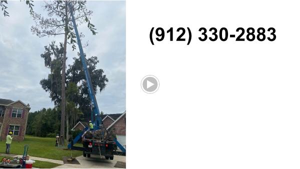 Georgia Tree Solutions Group