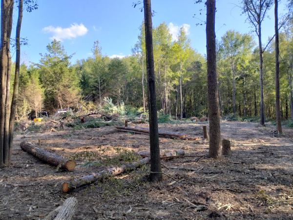 A-10 Construction & Land Improvement