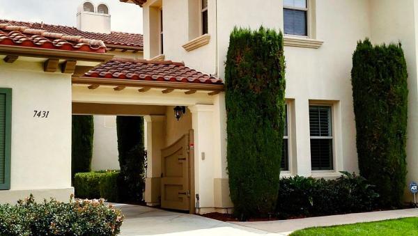 Horizon Professional Window Cleaning