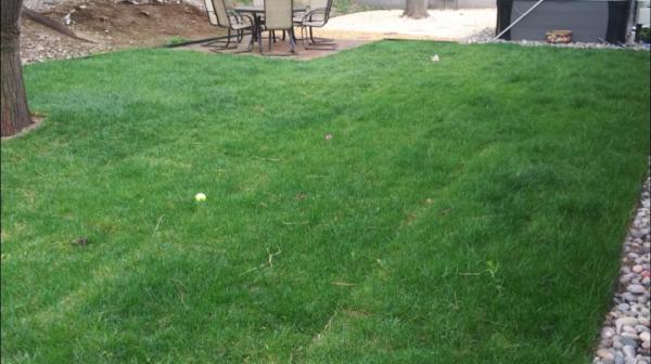2 Brothers Landscaping