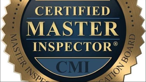 The Inspection Co