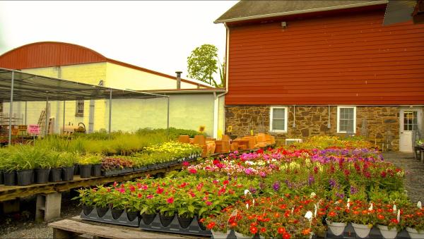Lawn Depot Turf Management & Garden Center
