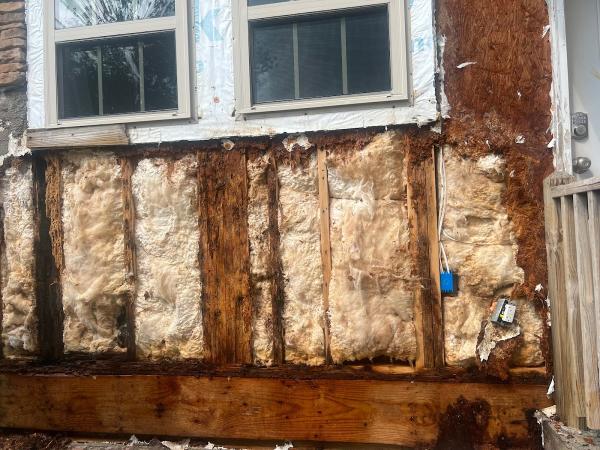Bug Stars Termite and Pest Control