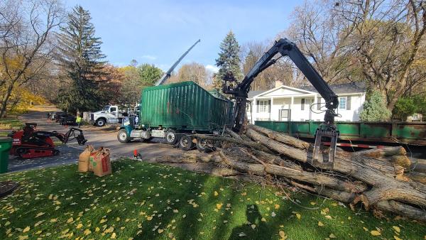 Aaa Tree Pros